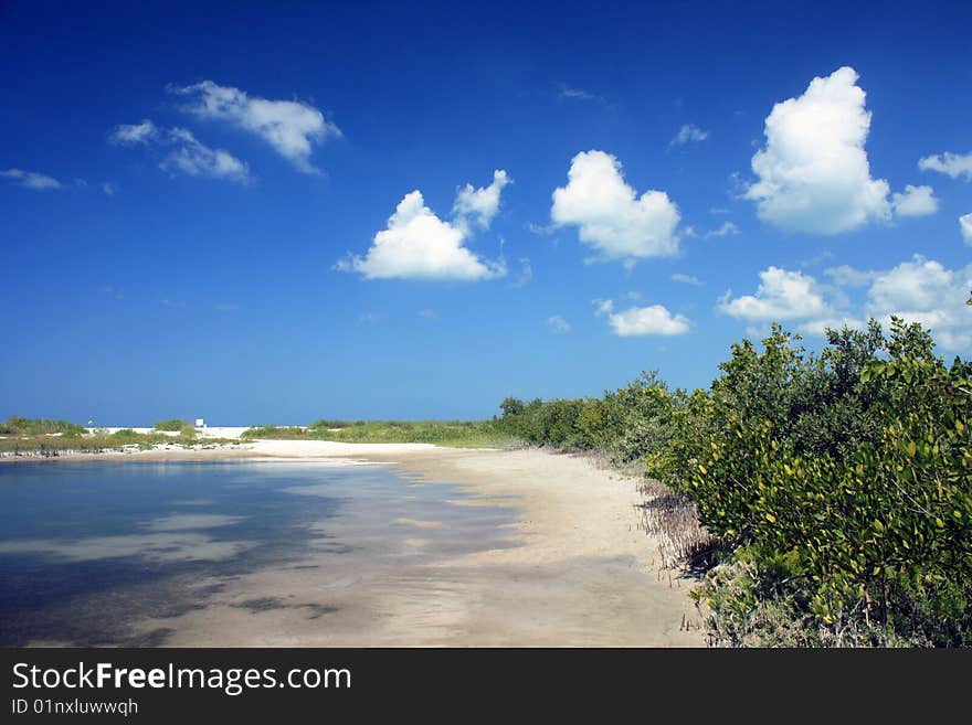 Small lake formed by the rising tide of the sea. Place full of wildlife. Small lake formed by the rising tide of the sea. Place full of wildlife.