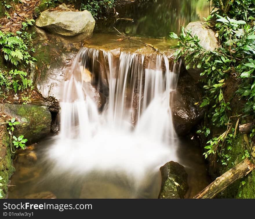 Beautiful flowing river stream in the forest