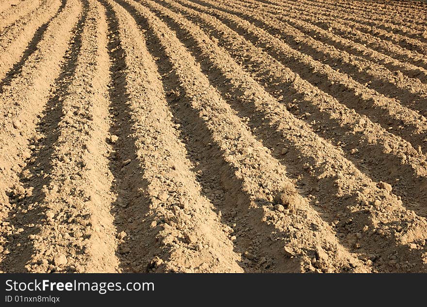 Ploughed agricultural field in countryside