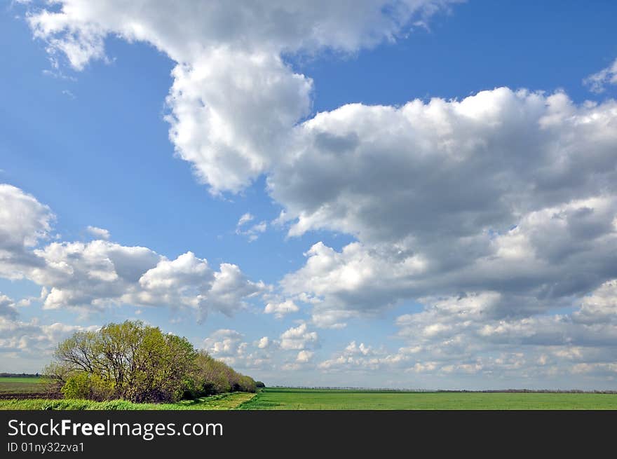 The blue sky and clouds over a green field