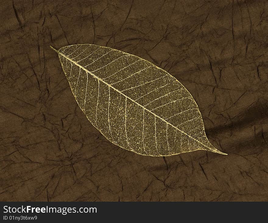 Gold leaf skeleton over silk background. Gold leaf skeleton over silk background