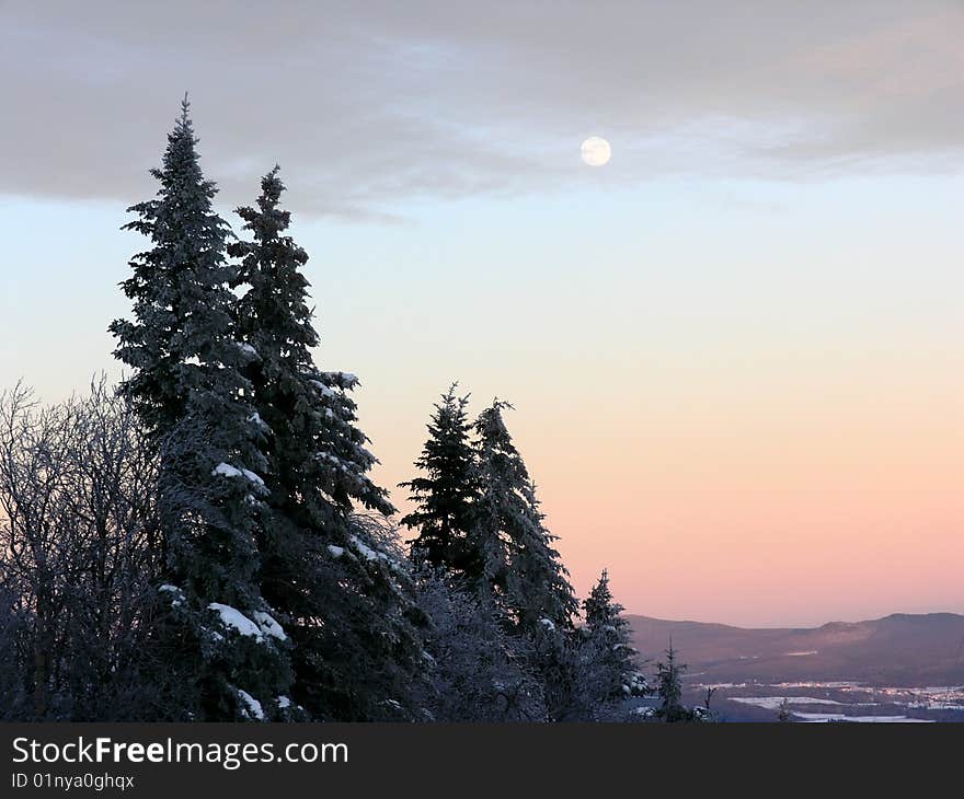 Full moon above snowy tree at sunset. Full moon above snowy tree at sunset.