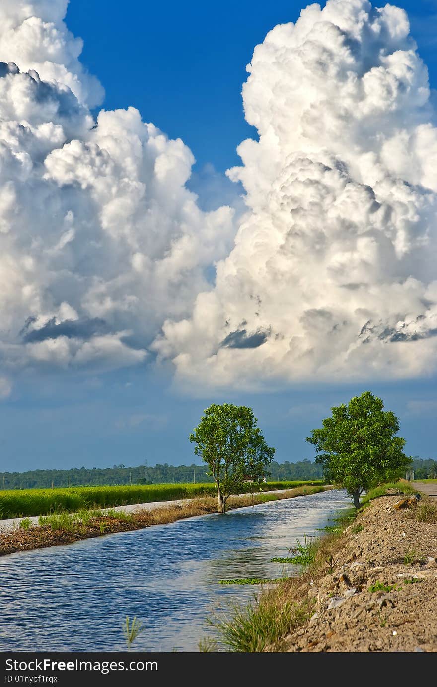 Asia Paddy Field Series 6