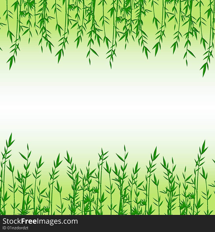 The Green bamboo on green background.