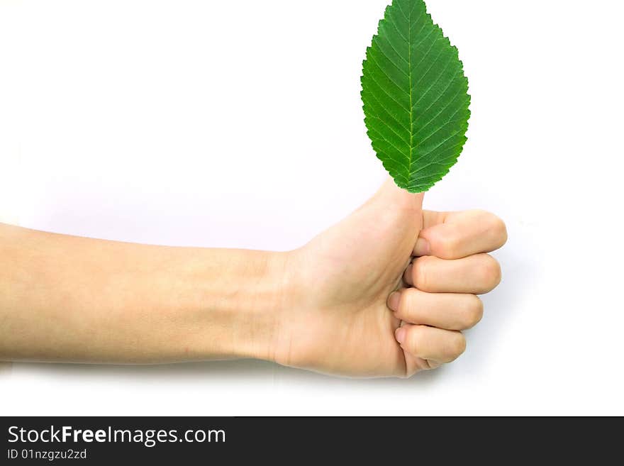 Gesturing hand OK and leaves on white background