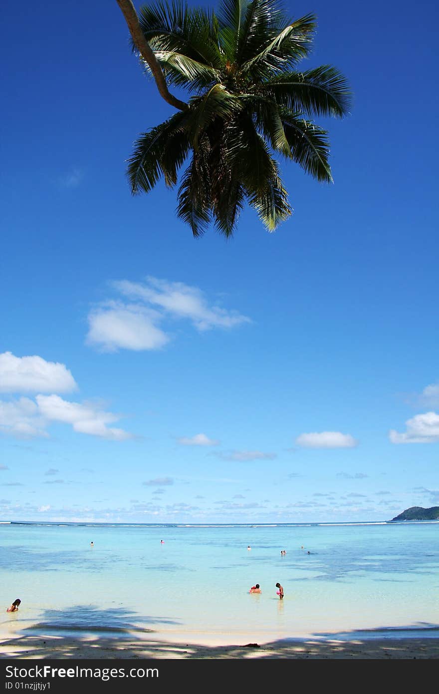 Relaxing on beach under a coconut palm. Relaxing on beach under a coconut palm