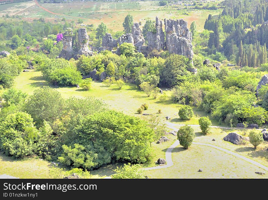 Stone forest