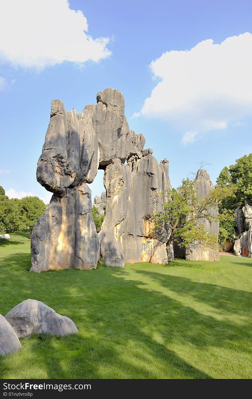 Stone Forest