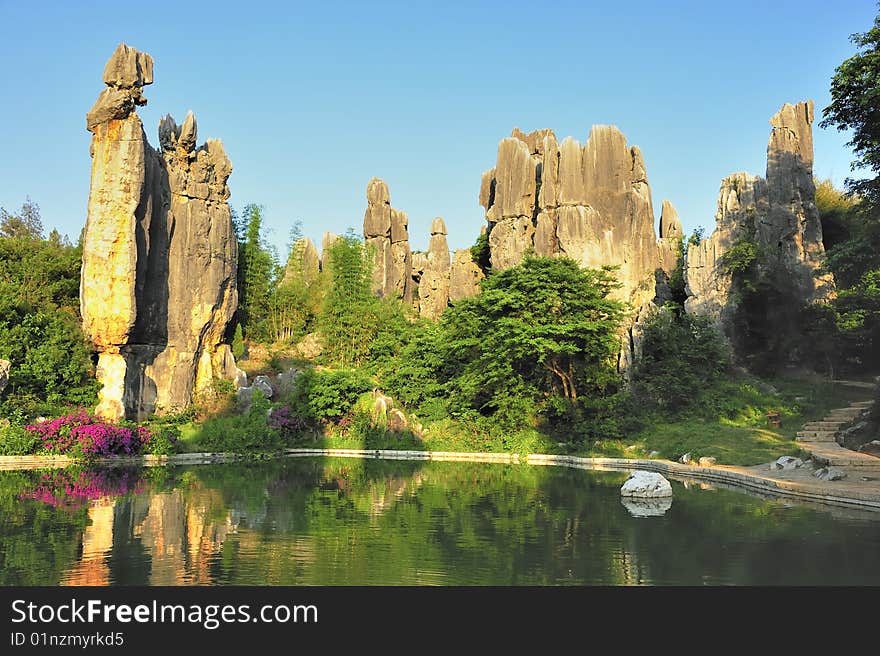 Stone forest