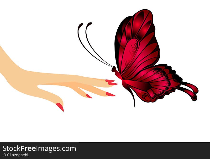 The beautiful butterfly sits down on a female hand