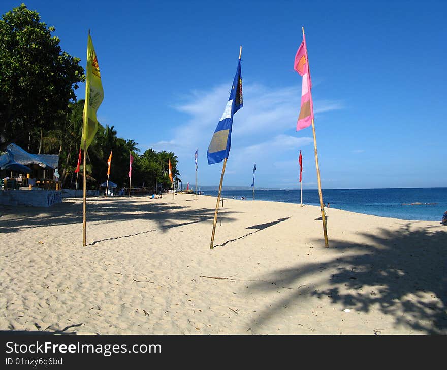 Beach with flags