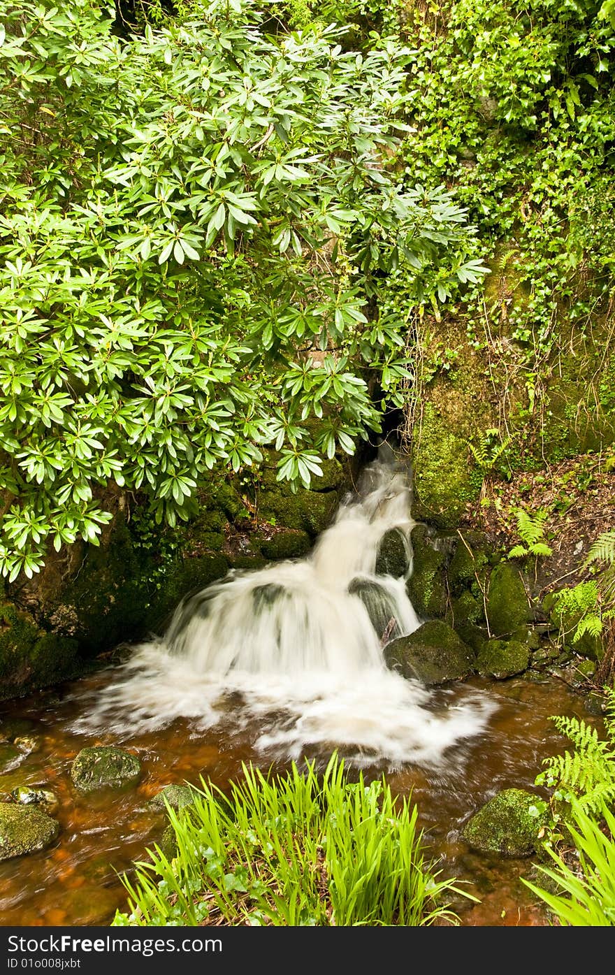 Waterfall with trees and grass on top of a rock