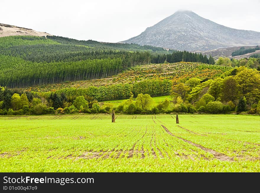 Field with standing stones with goatfell in background