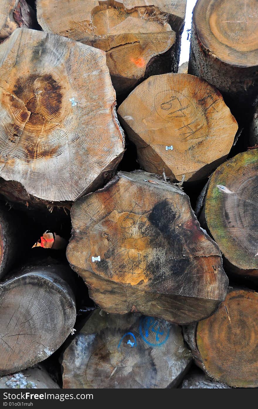 A shot of huge trunks at a german sawmill