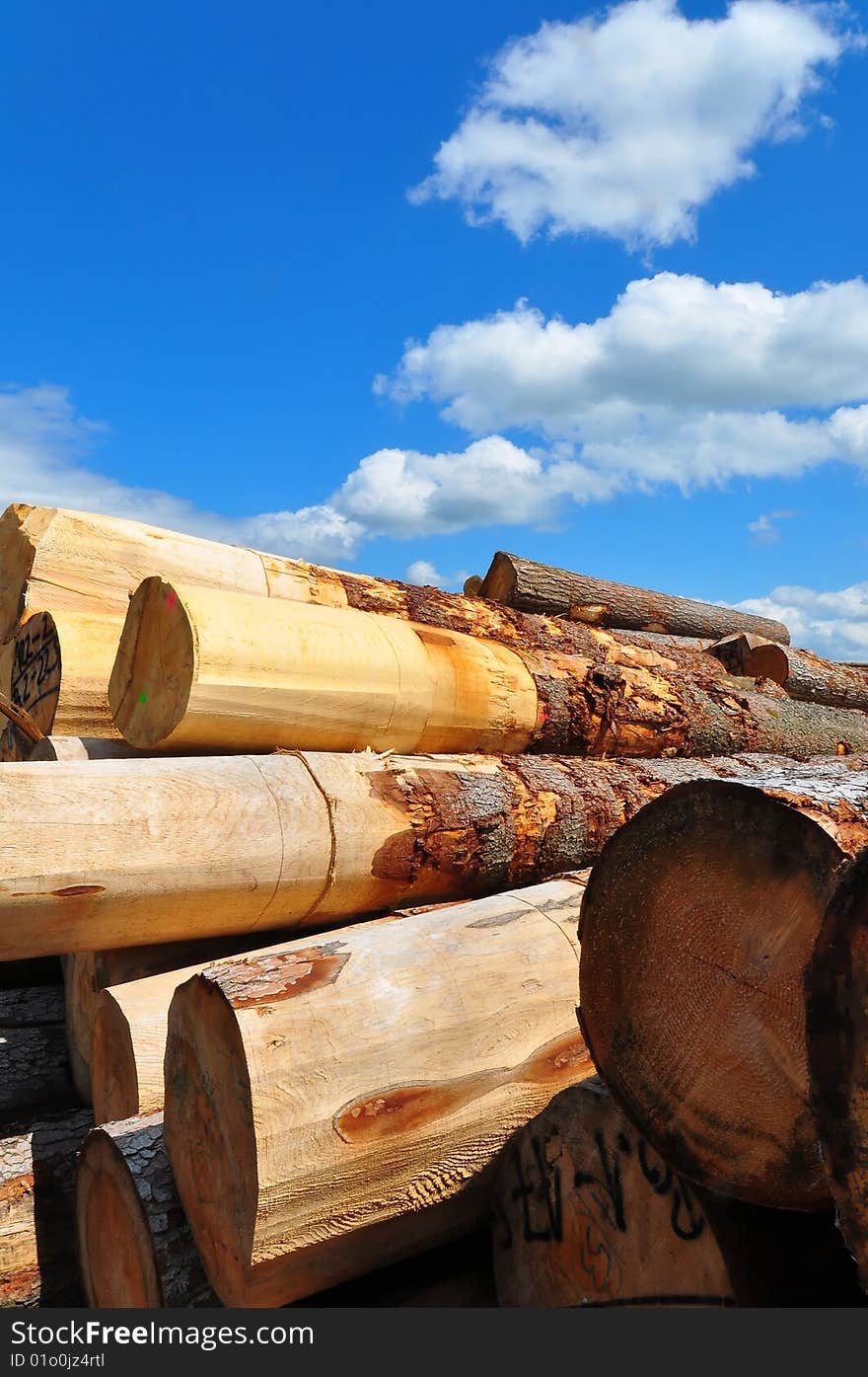 A shot of huge trunks at a german sawmill