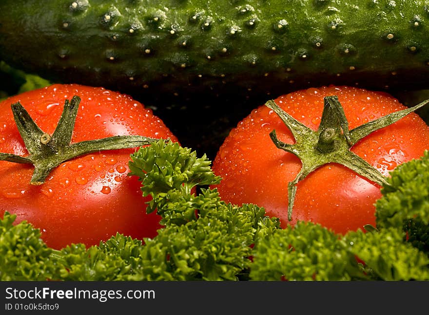 Two red tomatoes and a cucumber on green verdure