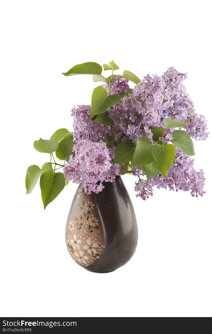 Lilac flowers with leaves in brown ceramic vase isolated on white. Lilac flowers with leaves in brown ceramic vase isolated on white