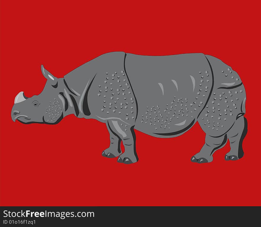 Rhinoceros