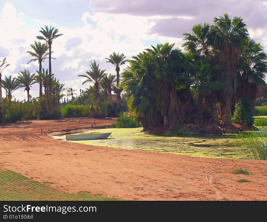 Desert landscape