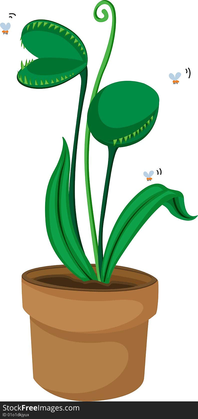 A pot plant