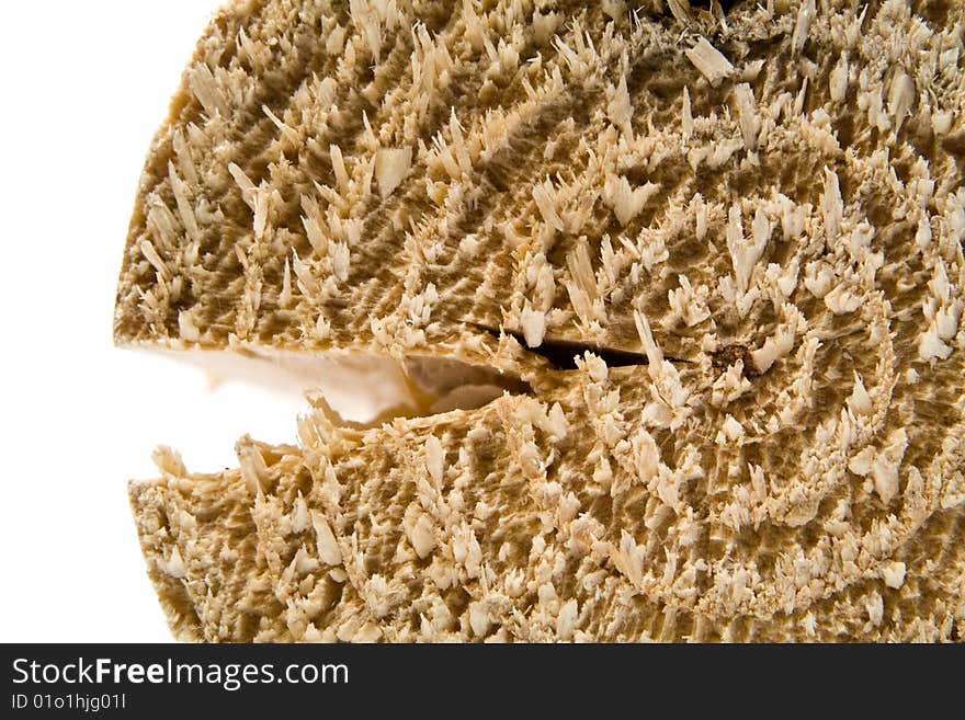 Cut of pine log on a white background. Cut of pine log on a white background