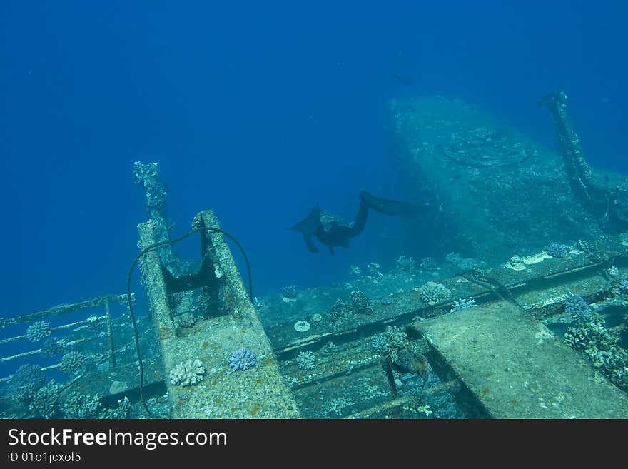 Diver And Sunken Ship