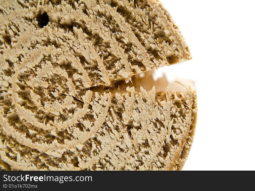 Cut of pine log on a white background