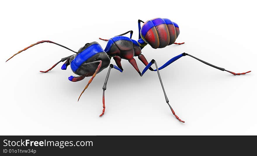 An ant with a blue stripe painted straight down his body!. An ant with a blue stripe painted straight down his body!