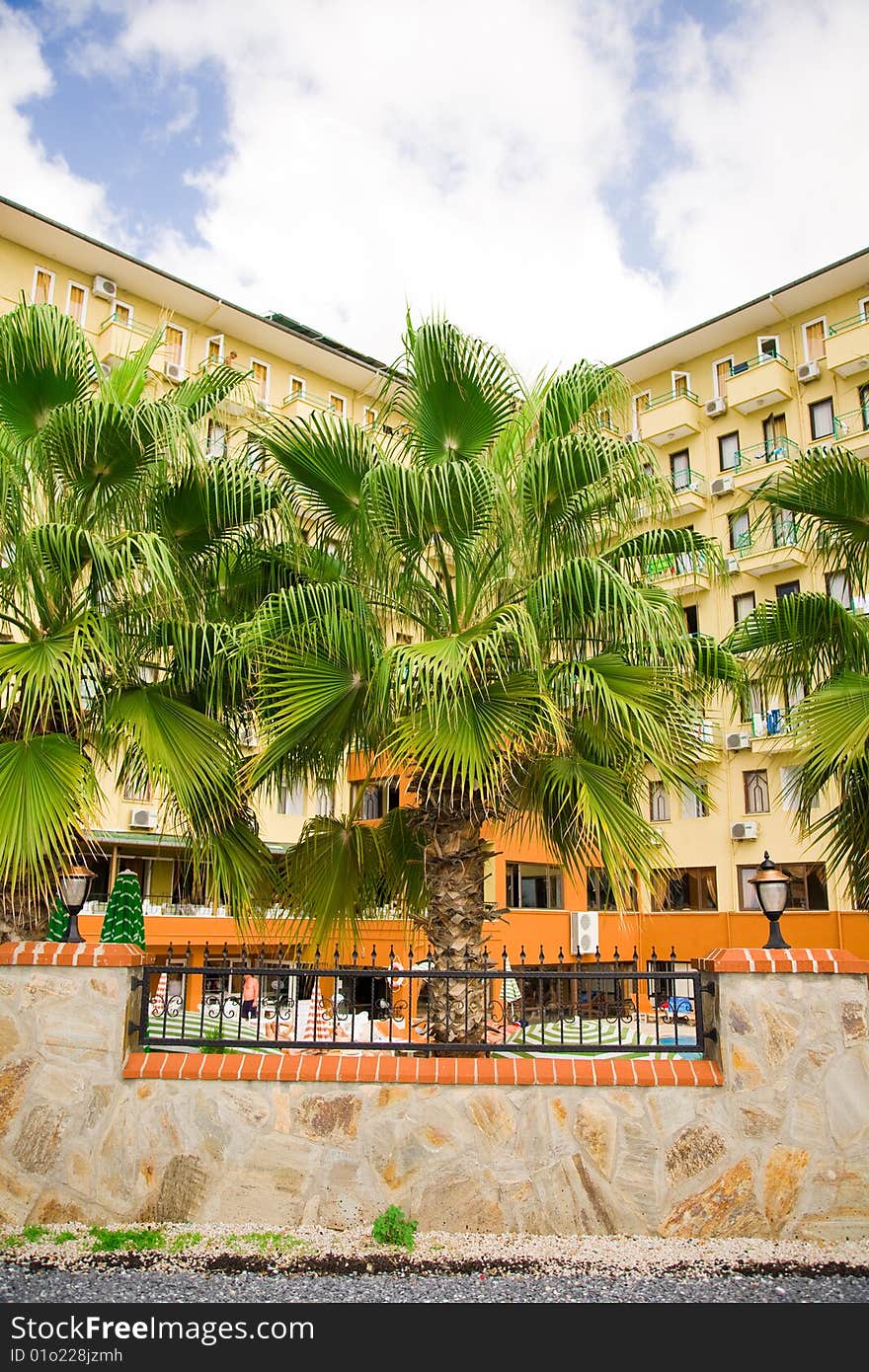 Big palm tree in front of a hotel under blue sky