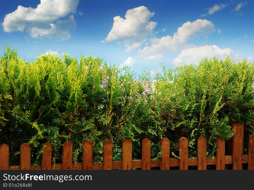 Clouds, Fence And Blue Sky