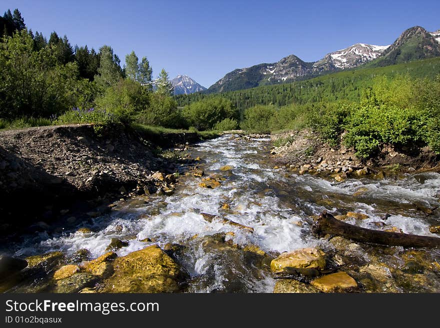 Rocky Mountain Spring