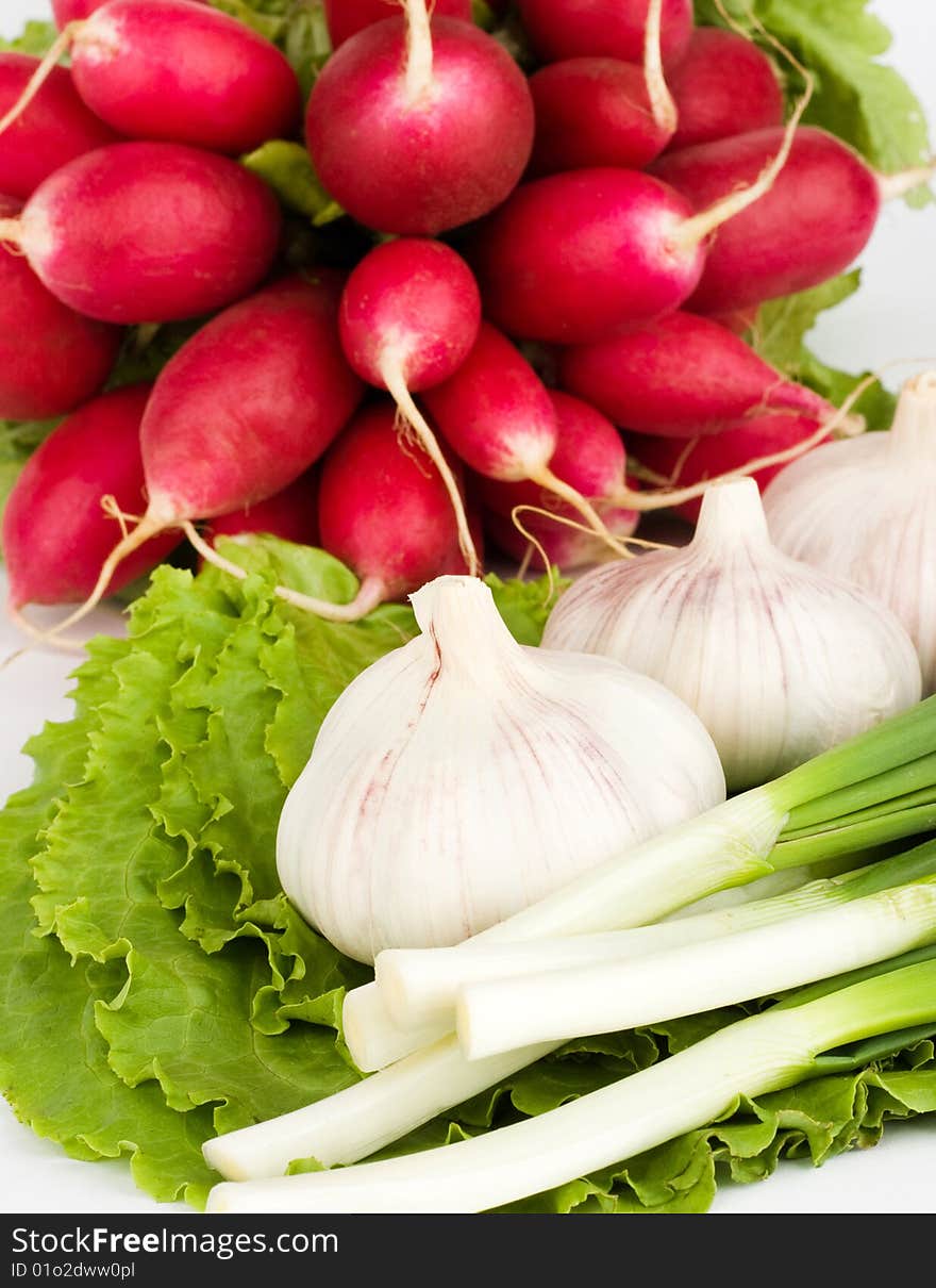 Spring onions, garlic, lettuce and radish