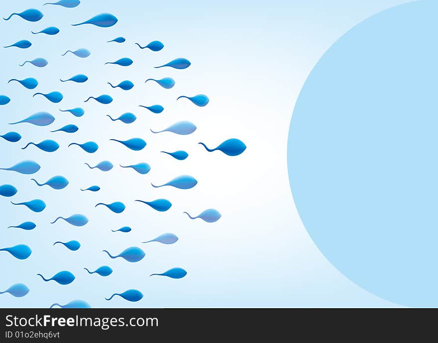 Tadpoles swimming in a blue background