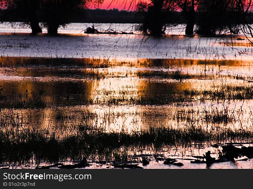 Water Reflection