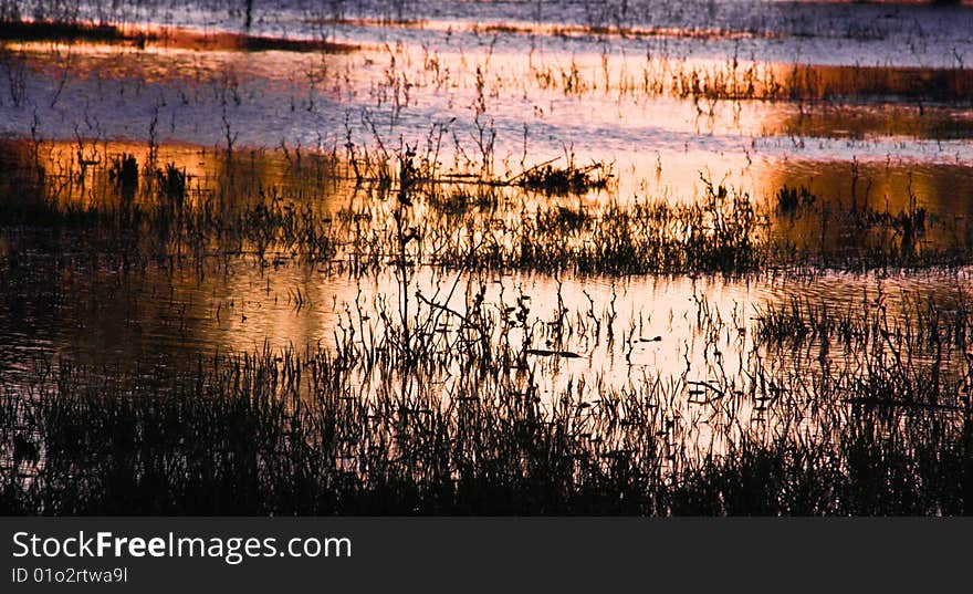 Colorfull Water Reflection