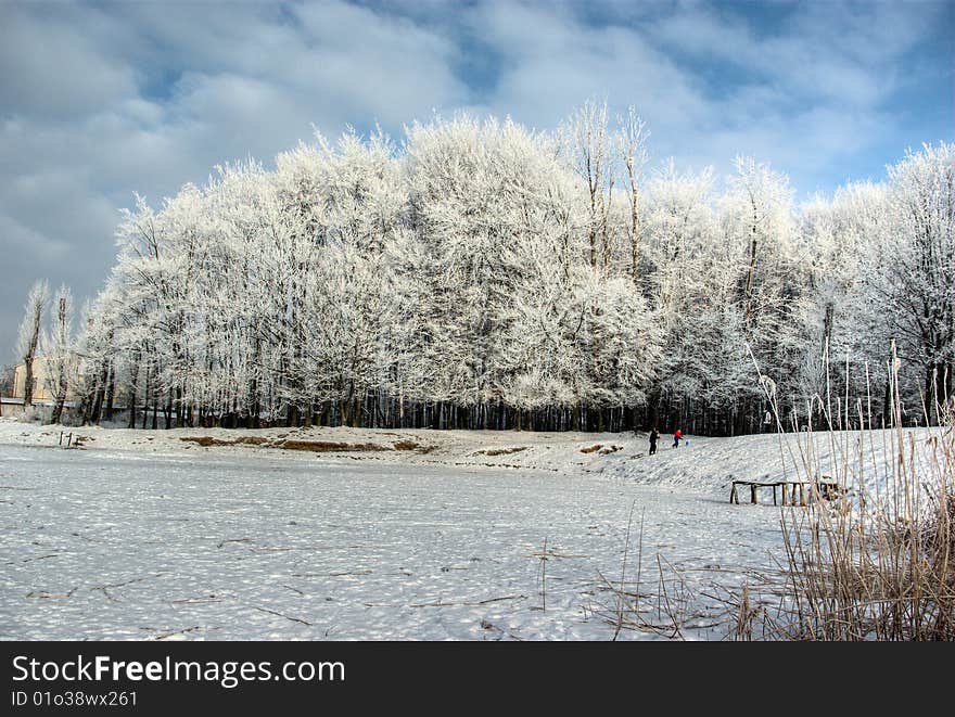 Winter landscape