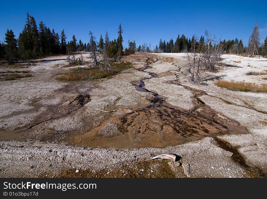 Brook in Yellowstone