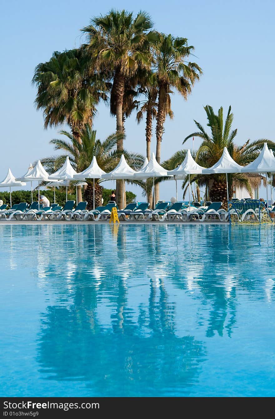 Pool with palms reflecting in the water on a seaside resort