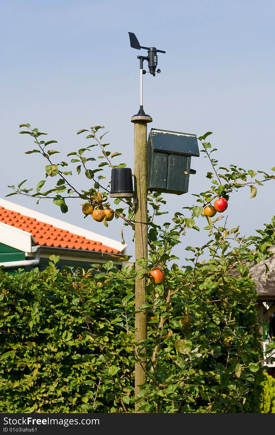 A wooden pole in the garden, which hangs in the house for the birds and the wind vane. A wooden pole in the garden, which hangs in the house for the birds and the wind vane