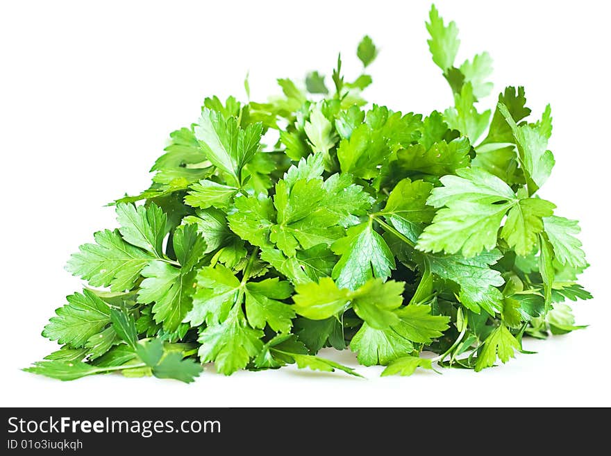 Parsley isolated on white background.