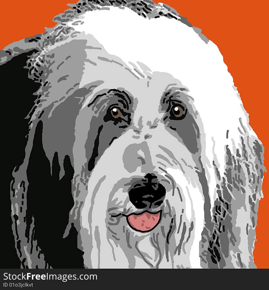 Sheepdog portrait