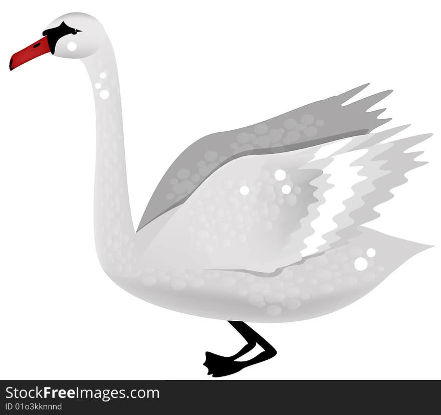 White Swan