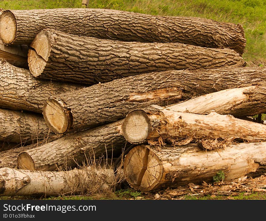 Heap Of Logs