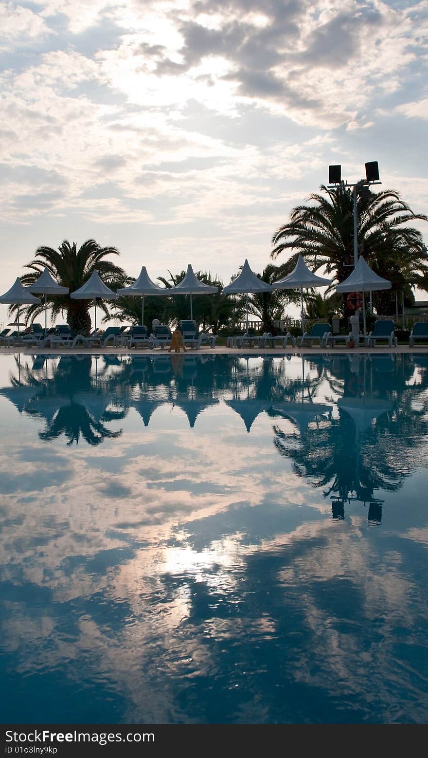 Pool with palms reflecting in the water on a seaside resort