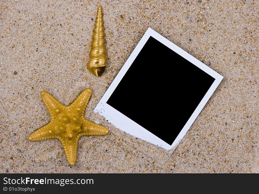 Photo frame with golden sea shells on sand background