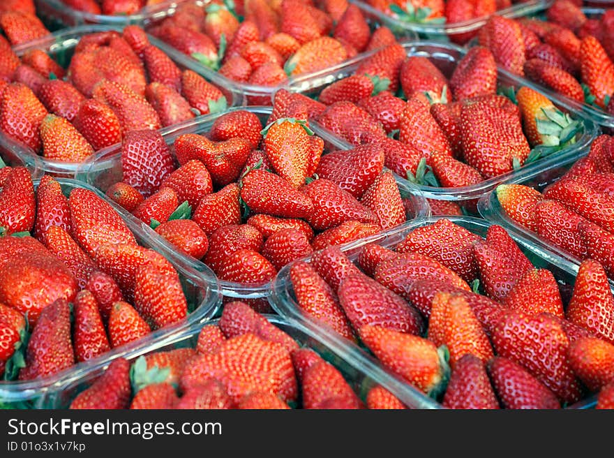 Strawberries arranged in plastic boxes