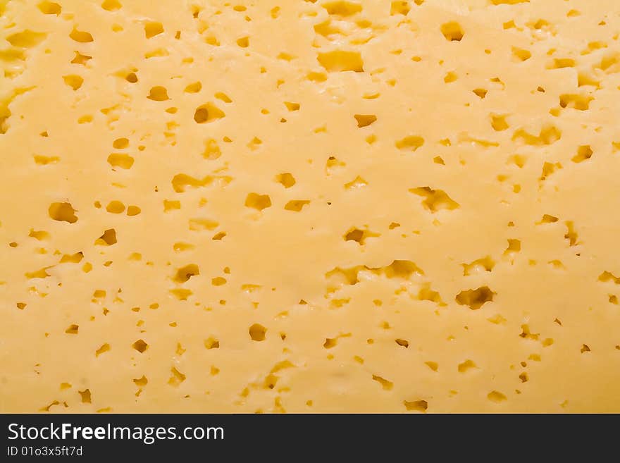 Cheese surface as a background. Cheese surface as a background