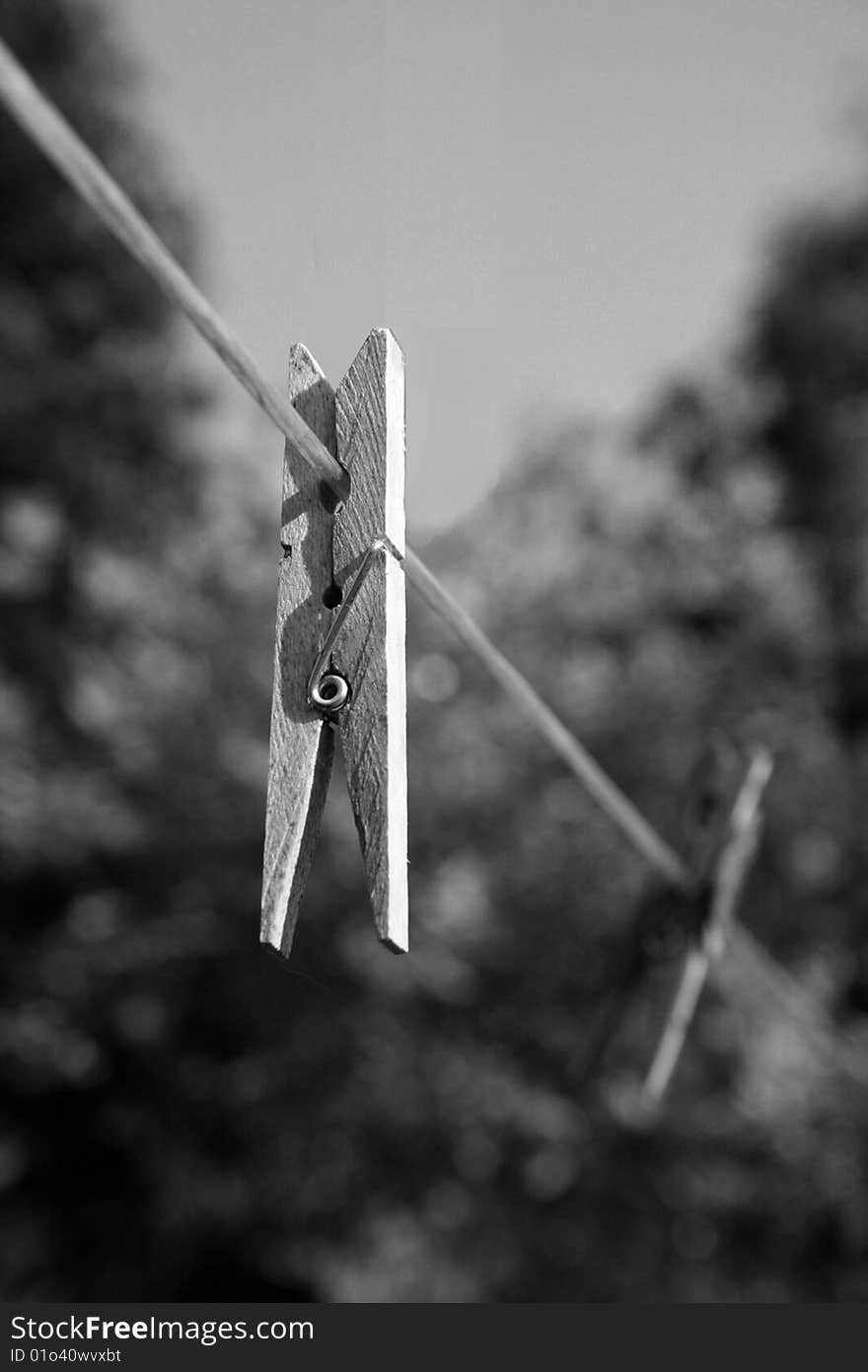 Clothes peg