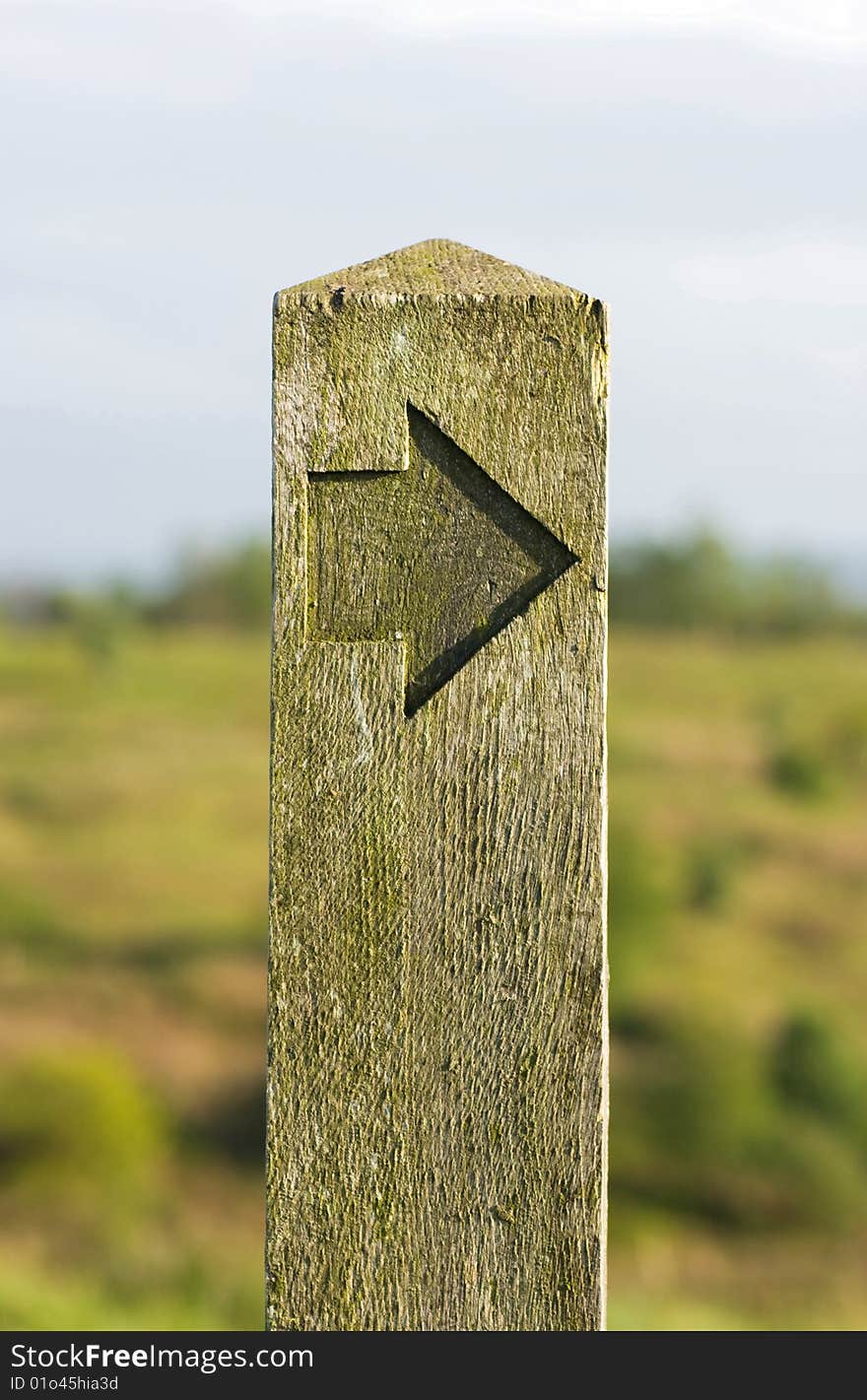 A wooden sign post showing the way. A wooden sign post showing the way