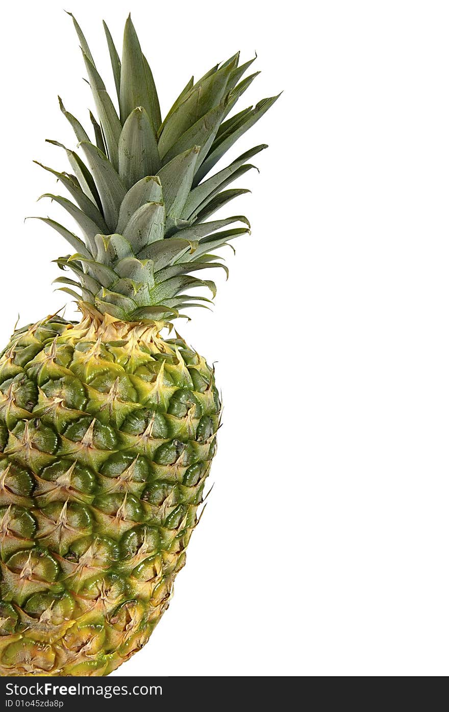 Pineapple isolated over white with space for text. Pineapple isolated over white with space for text.